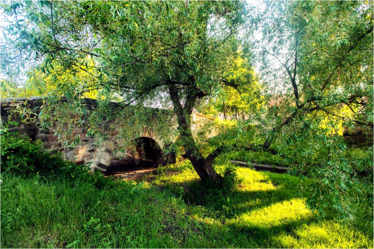 Toszkana Apartmanhaz Apartment Bogacs